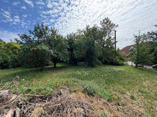 WhatsApp-kép, 2025-07-27, 06.35.08_a5c6ab02.jpg