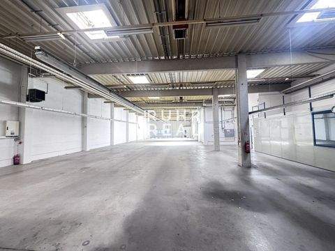 Mülheim Halle, Mülheim Hallenfläche