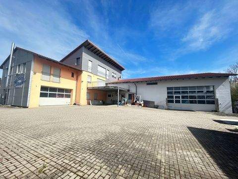 Hemau Halle, Hemau Hallenfläche