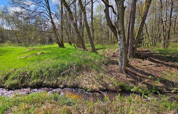 Bodenaufnahme mit kleinem Bach
