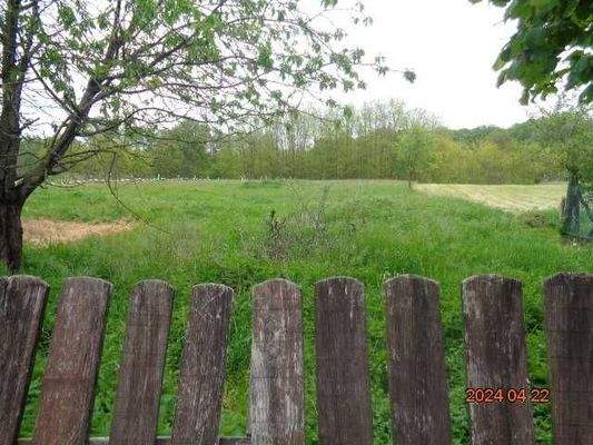 Grund gehört dazu mit kl.Akazienwald