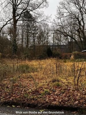 Blick von Straßenseite