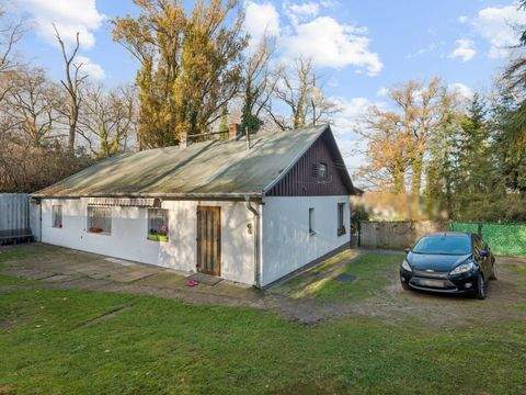 Friesack Häuser, Friesack Haus kaufen