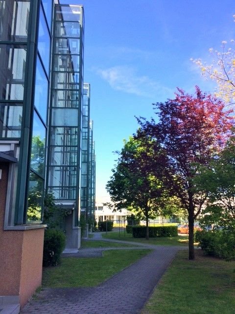 Dessau-Roßlau Wohnungen, Dessau-Roßlau Wohnung mieten