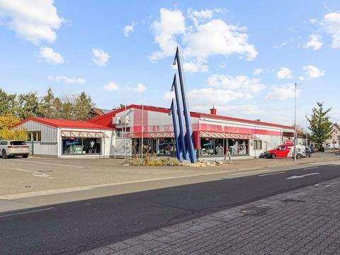 Ingelheim am Rhein Ladenlokale, Ladenflächen 