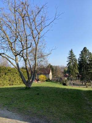 Garten zum Wohnhaus.jpeg