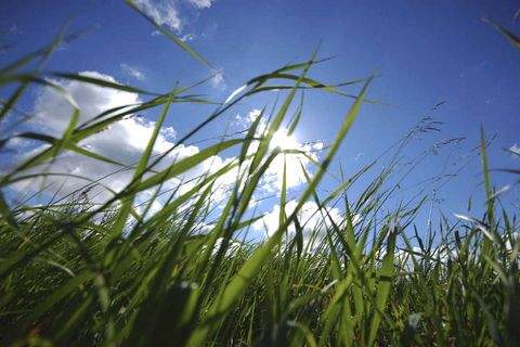 Feldafing Grundstücke, Feldafing Grundstück kaufen