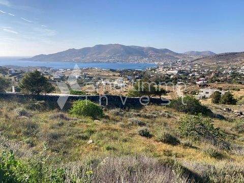Posidonia, Syros Bauernhöfe, Landwirtschaft, Posidonia, Syros Forstwirtschaft