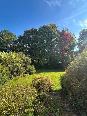 Blick in den Garten 1