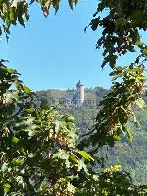 Plesseblick von der Terrasse (vergrößert)