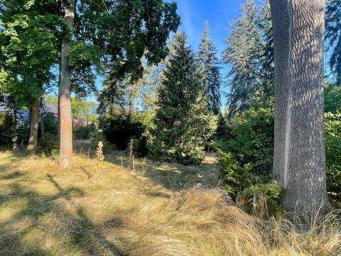 Brandis Grundstücke, Brandis Grundstück kaufen