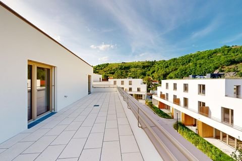 Krems an der Donau Wohnungen, Krems an der Donau Wohnung mieten