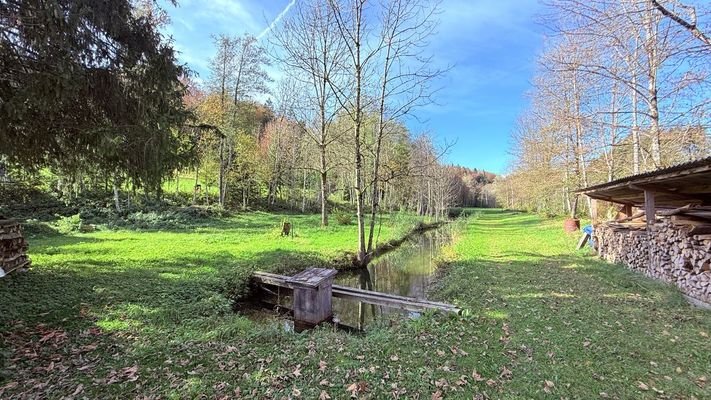 Fischteich