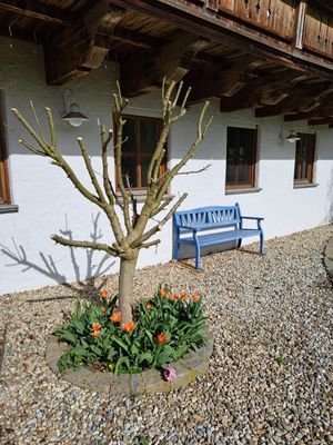 Platz zum Sonne tanken