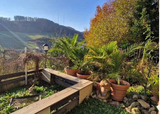 Bild 15