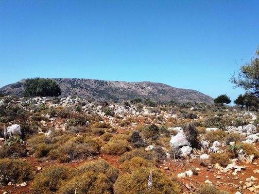 Kefalas: Abgelegenes Grundstück in Meeresnähe auf Kreta zum Verkauf