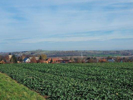 Blick auf Miltitz