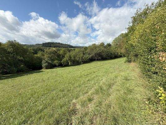 Blick in das Grundstück