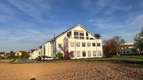 Leinfelden-Echterdingen Halle, Leinfelden-Echterdingen Hallenfläche