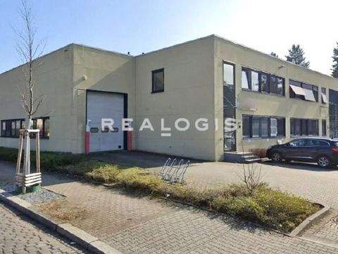 Berlin Halle, Berlin Hallenfläche