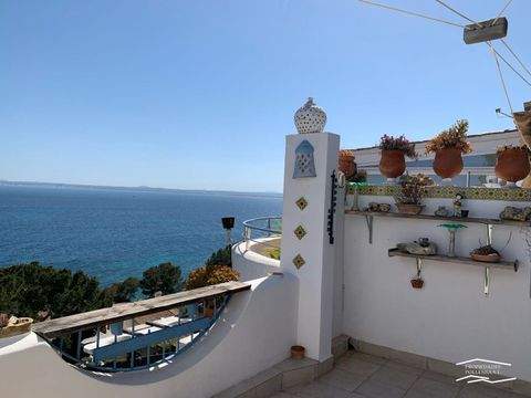 Puerto de Alcudia Wohnungen, Puerto de Alcudia Wohnung kaufen