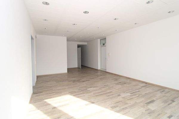 Eingangsbereich / Gemeinschaftsfläche