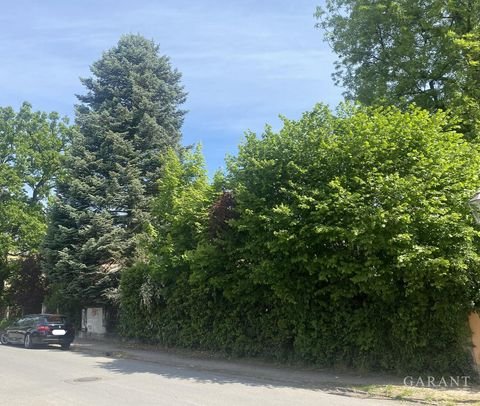 Dresden Grundstücke, Dresden Grundstück kaufen