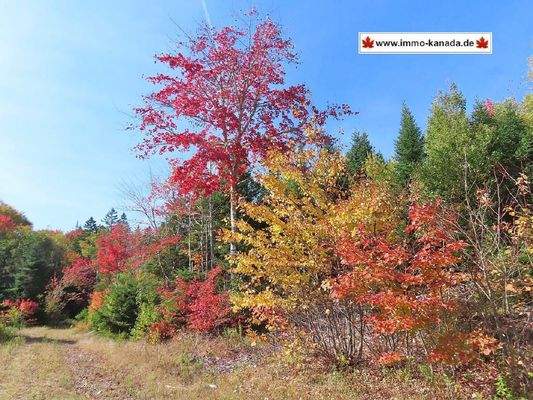 Nova Scotia - West Side Country Harbour - 52-Hekta