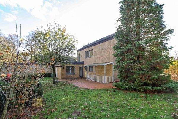 hinterer Garten mit Apfelbaum und Gemüsebeet