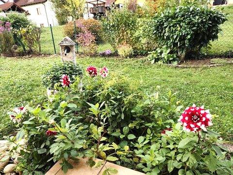 Margetshöchheim Wohnungen, Margetshöchheim Wohnung mieten