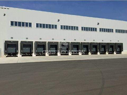 Duisburg Halle, Duisburg Hallenfläche