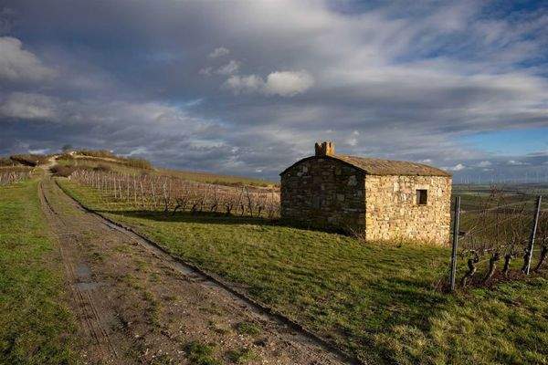 Infotafel am Weinberg