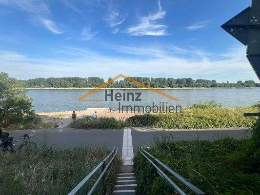 Rhein 300 m entfernt