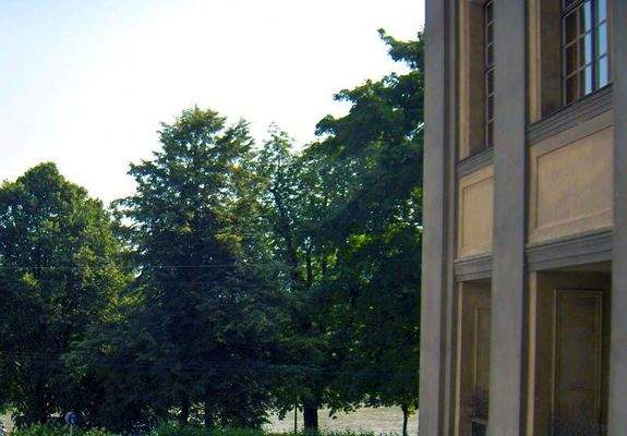 Blick aus dem Fenster