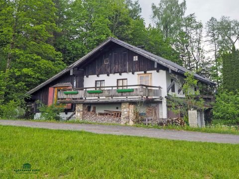 Kobl Häuser, Kobl Haus kaufen