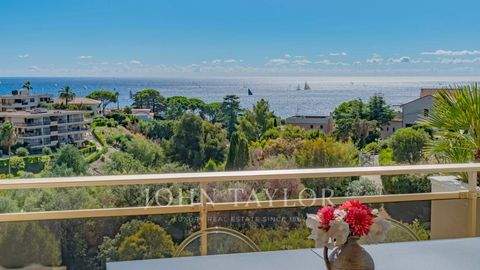 Cannes Wohnungen, Cannes Wohnung kaufen