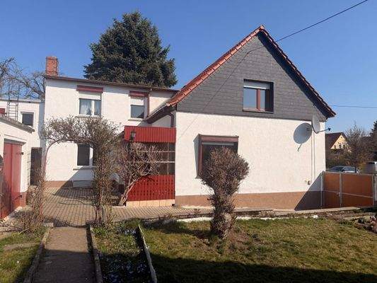 Blick aus dem Garten 1