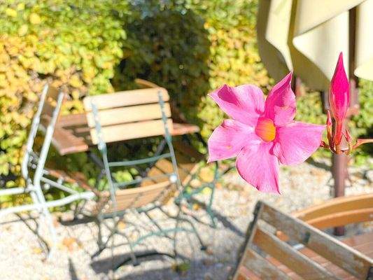 Weiteres Gartengrün vor dem Haus