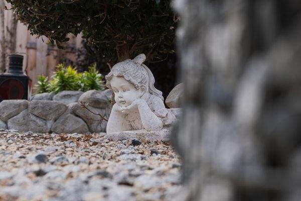 Impressionen aus dem Garten