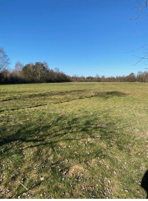 Barnstorf Bauernhöfe, Landwirtschaft, Barnstorf Forstwirtschaft