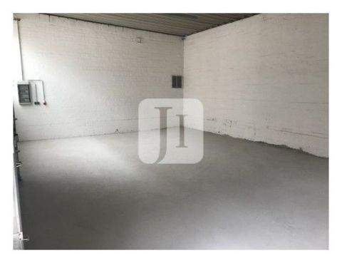 Hamburg Halle, Hamburg Hallenfläche