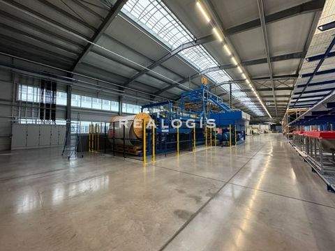 Deißlingen Halle, Deißlingen Hallenfläche