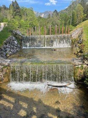 5min vom Haus entfernt