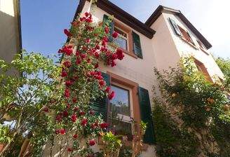 Fassade mit Rosen