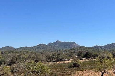 Es Carritxo Grundstücke, Es Carritxo Grundstück kaufen