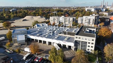 Düsseldorf Halle, Düsseldorf Hallenfläche