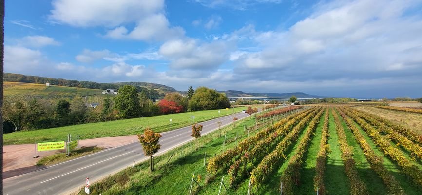 FERNBLICK INS GRÜNE - VIS A VIS LUXEMBURG-GRENZE 