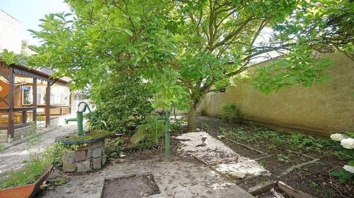 kleiner Garten am Haus