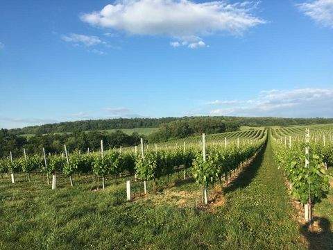 Stetten Renditeobjekte, Mehrfamilienhäuser, Geschäftshäuser, Kapitalanlage