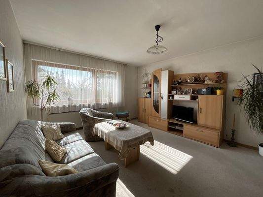 Wohnzimmer Gartengeschoss